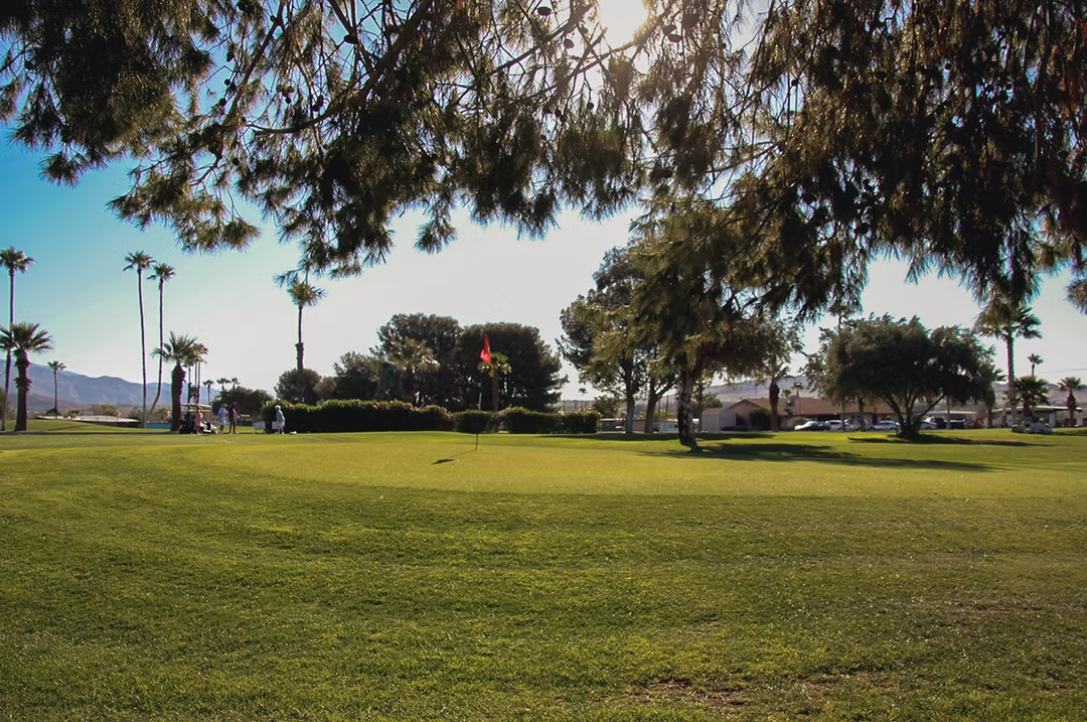 Desert Crest Community Association Gallery-1