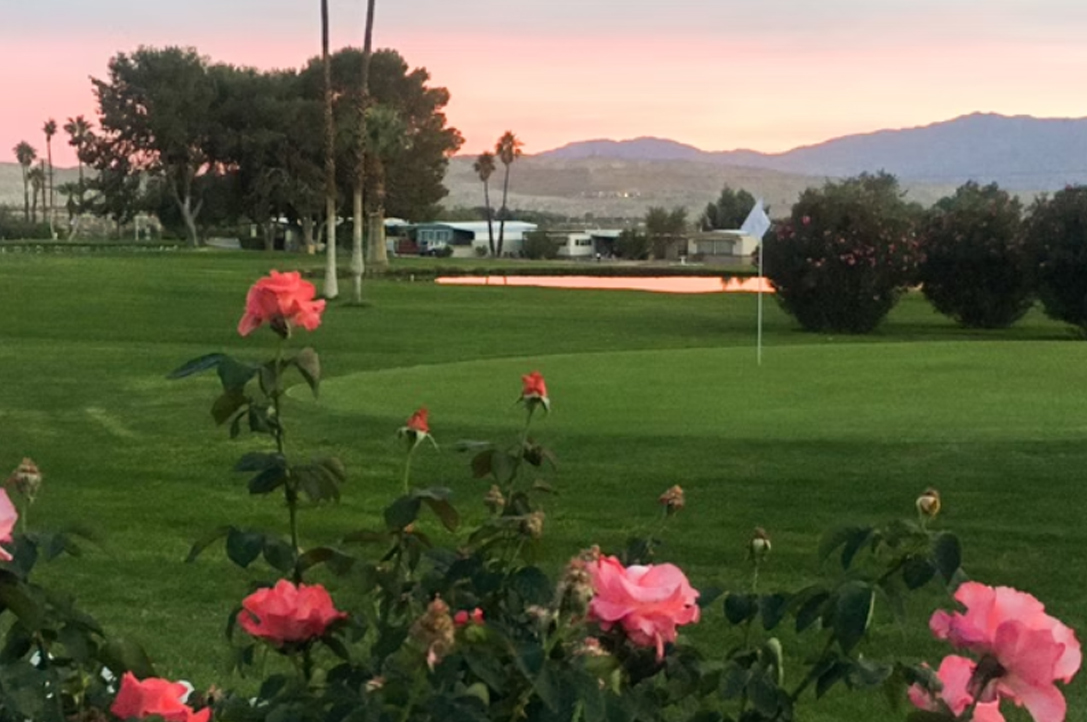 Desert Crest Community Association Gallery-4