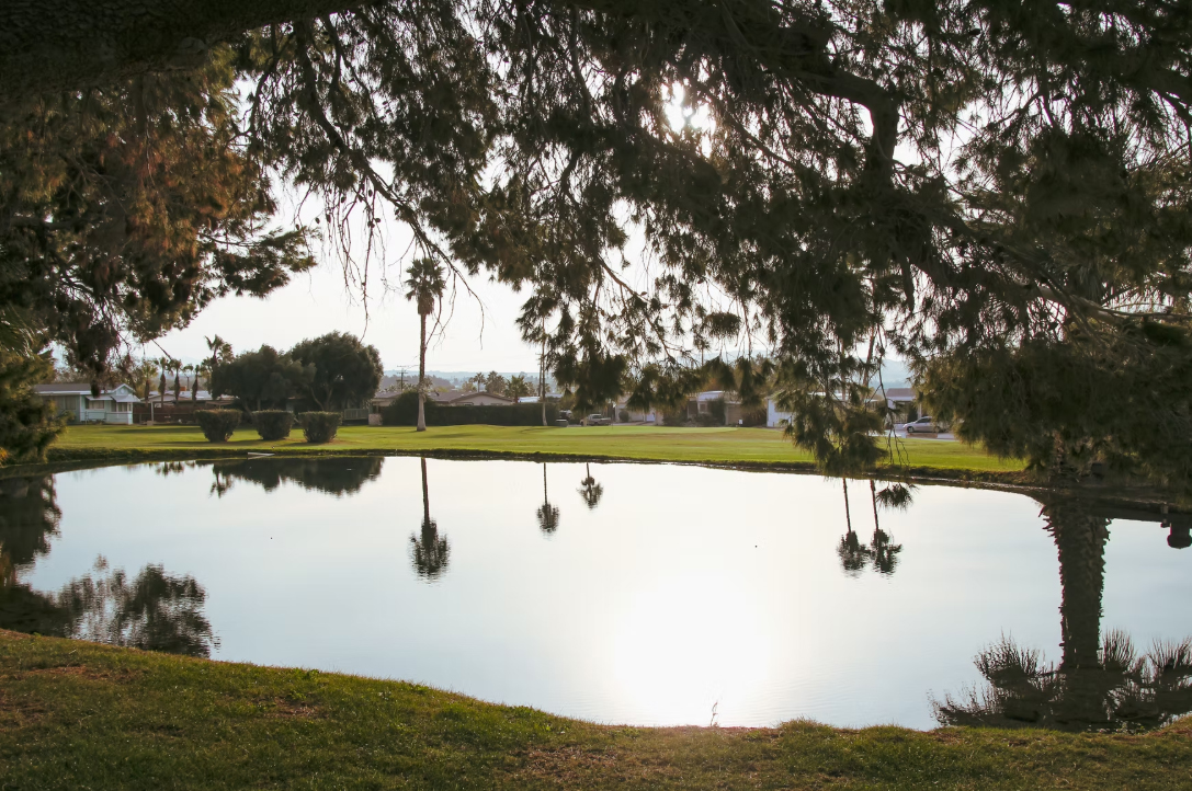 Desert Crest Community Association Gallery-5