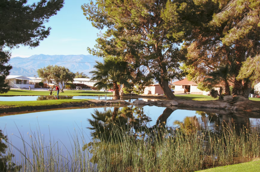 Desert Crest Community Association Gallery-9
